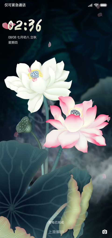唯美古风荷塘夜色 preview