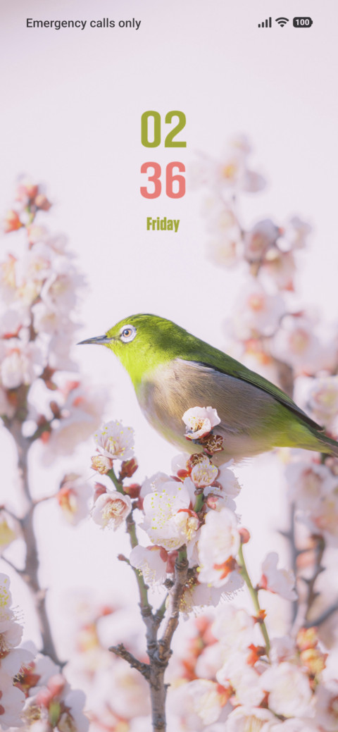 Small Bird preview