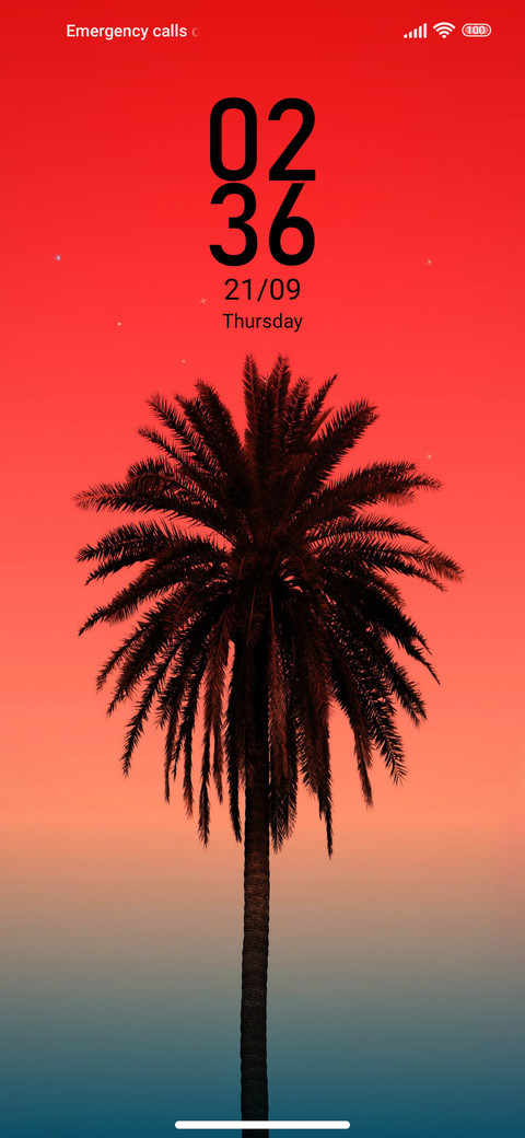 Palm m14 preview