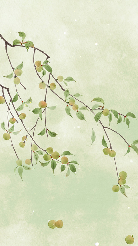 Dont eat green plums raw preview