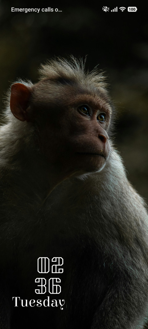 Curious Eyes preview
