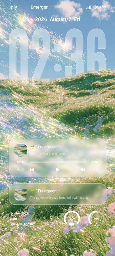 Monet preview