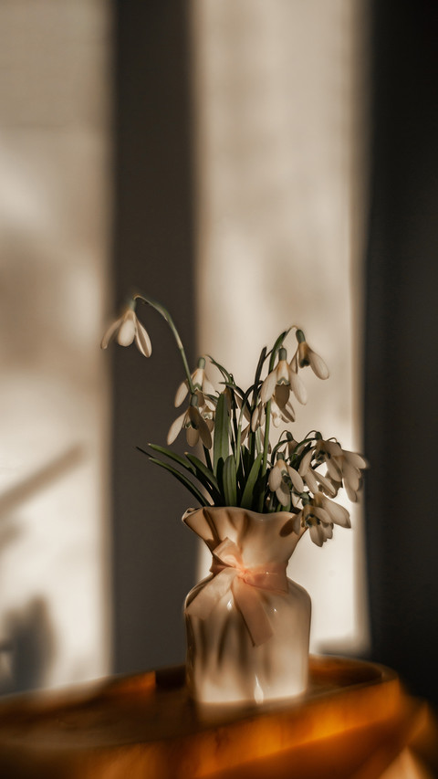 Delicate snowdrops in a white vase in sunlight on the table preview