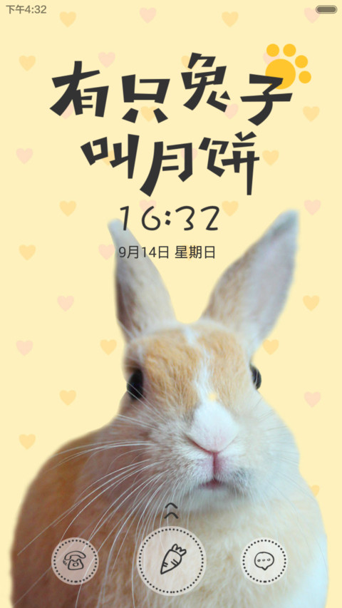 有只兔子叫月饼 preview